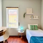 Rent 4 bedroom apartment in Coimbra