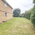 Rent 1 bedroom apartment in East Of England