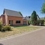 Rent 3 bedroom house of 914 m² in Retie