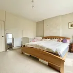 Rent 4 bedroom house in Yorkshire And The Humber