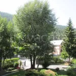 Rent 2 bedroom apartment of 35 m² in Campo Smith