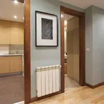 Rent 1 bedroom apartment of 50 m² in madrid