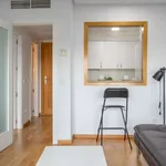 Rent 1 bedroom apartment of 60 m² in madrid