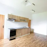 Rent 1 bedroom apartment in Hradec Králové