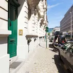 Huur 1 slaapkamer appartement van 100 m² in brussels