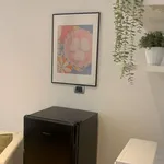 Rent 1 bedroom apartment in rome