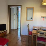 Rent 4 bedroom apartment of 60 m² in Saronno