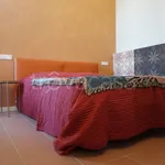 Rent 2 bedroom apartment of 50 m² in Colorno