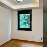 Rent 3 bedroom apartment of 80 m² in budapest