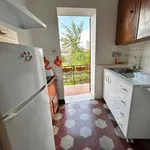 Rent 3 bedroom apartment of 70 m² in Siena