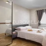 Rent 1 bedroom apartment of 62 m² in Pula