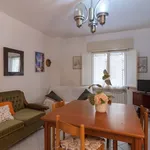 Rent 4 bedroom apartment of 80 m² in Follonica