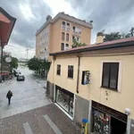 Rent 1 bedroom apartment of 110 m² in lissone