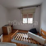 Rent 5 bedroom apartment of 110 m² in Padua