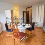 Rent 1 bedroom apartment of 39 m² in City of Zagreb