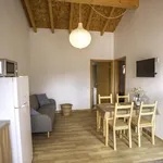 Rent 2 bedroom house of 50 m² in São Bartolomeu de Messines