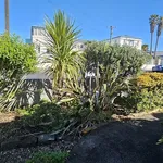 Rent 3 bedroom house in Auckland