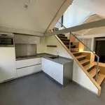 Rent 4 bedroom apartment of 251 m² in Nieuwe Werk