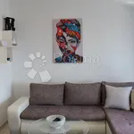 Rent 1 bedroom apartment of 50 m² in Matulji