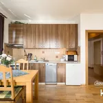 Rent 3 bedroom apartment of 52 m² in Boží Dar