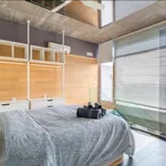 Alquilo 1 dormitorio apartamento de 87 m² en madrid