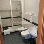 Rent 2 bedroom apartment of 39 m² in Pisa