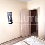 Rent 2 bedroom apartment of 75 m² in Каменица 1