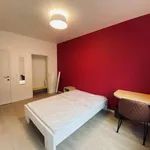 Rent 1 bedroom apartment in brussels