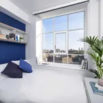 Rent 1 bedroom apartment in Brighton