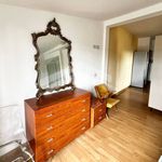 Rent 2 bedroom apartment of 50 m² in Campobasso