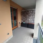 Rent 1 bedroom apartment of 100 m² in Milano