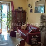 Rent 3 bedroom apartment of 80 m² in Turin