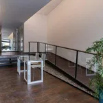 Rent 3 bedroom apartment in Lisbon