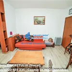 Rent 1 bedroom house of 28 m² in Bucharest