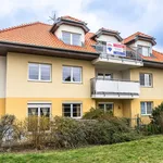 Pronajměte si 4 ložnic/e byt o rozloze 102 m² v Holubice