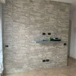 Appartamento arredato con terrazzo Caravate