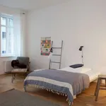 40 m² Studio in berlin