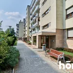 Rent 2 bedroom apartment of 50 m² in Wrocław