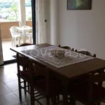 Rent 4 bedroom apartment of 110 m² in Pineto