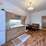 Rent 2 bedroom apartment of 80 m² in České Budějovice