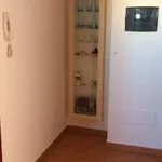 Rent 2 bedroom apartment of 35 m² in Olbia