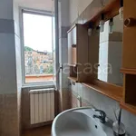 Rent 3 bedroom apartment of 60 m² in Genzano di Roma