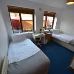 Rent a room in dublin