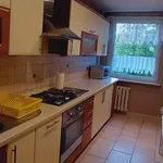 Rent 4 bedroom apartment of 80 m² in Katowice