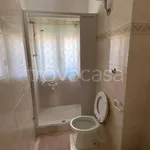 Rent 3 bedroom apartment of 65 m² in Anzio