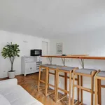 Rent 1 bedroom apartment of 30 m² in paris