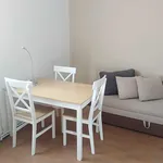 Rent 1 bedroom apartment of 30 m² in Stichovice