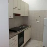 Rent 3 bedroom apartment of 70 m² in Monza