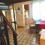 Rent 1 bedroom apartment of 29 m² in Padova