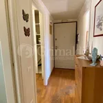 Rent 3 bedroom apartment of 70 m² in Anzio